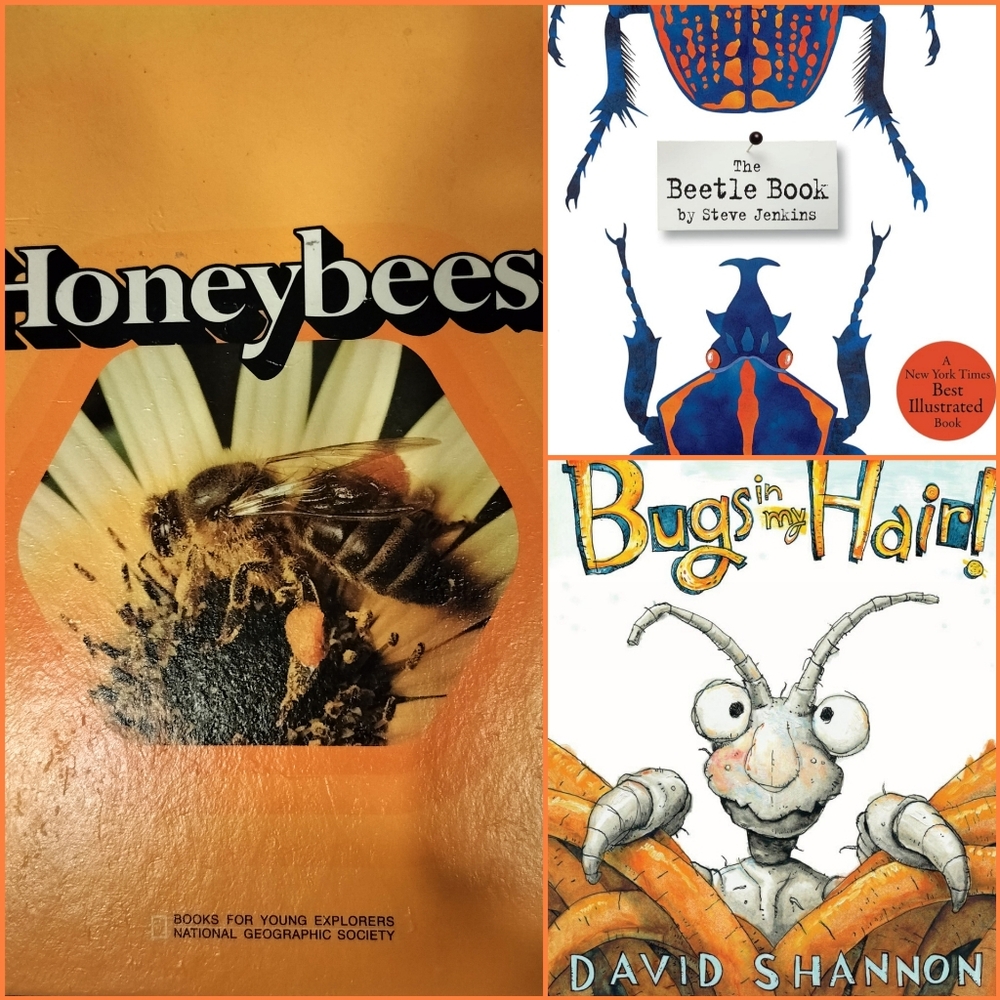 Children's Books Honeybees, Beetles, Bugs - STEM Preschool - Grade 3